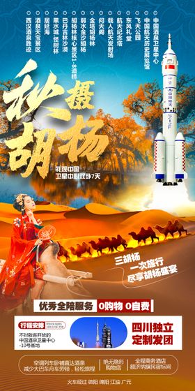 胡杨林