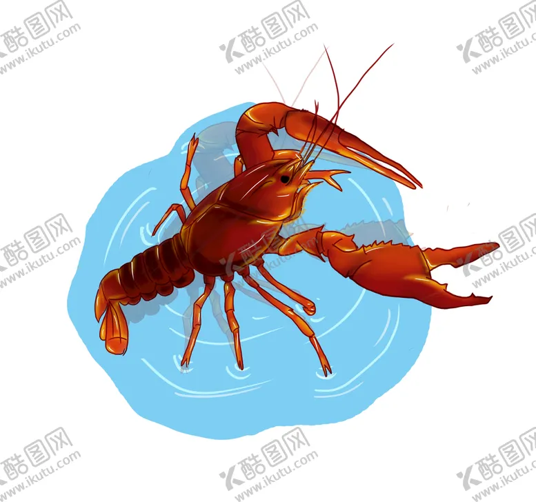 编号：05792409200903426049【酷图网】源文件下载-龙虾绘画插图图片