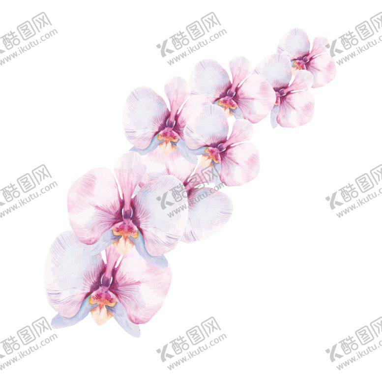 编号：68467907131007349257【酷图网】源文件下载-夏日热带水彩花朵