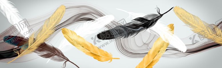 编号：36720406190853182822【酷图网】源文件下载-羽毛装饰画