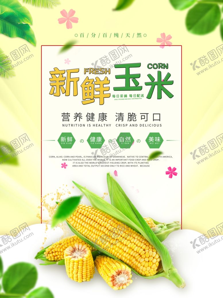 编号：63452009161934526069【酷图网】源文件下载-玉米海报
