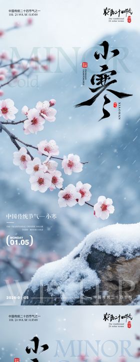 小寒节气梅花海报