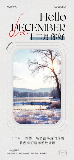 简约图文排版十二月你好日签海报