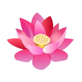 荷花素材夏至海报背景夏日海报