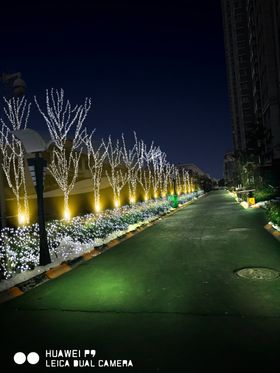 小区道路景观亮化节日
