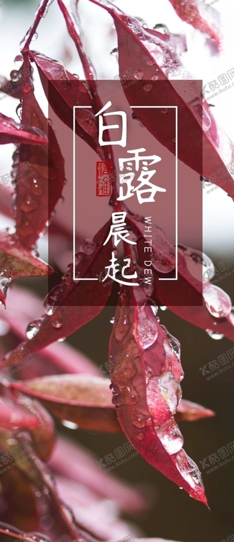 编号：90712405070940428103【酷图网】源文件下载-白露