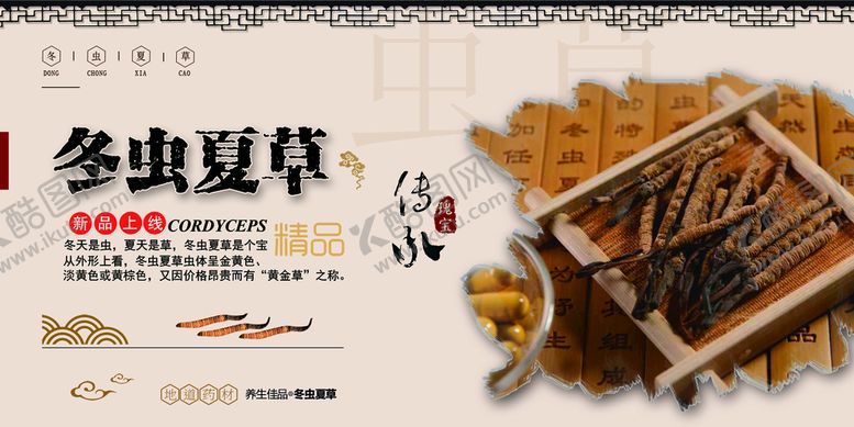 编号：74610210061901219823【酷图网】源文件下载-冬虫夏草海报