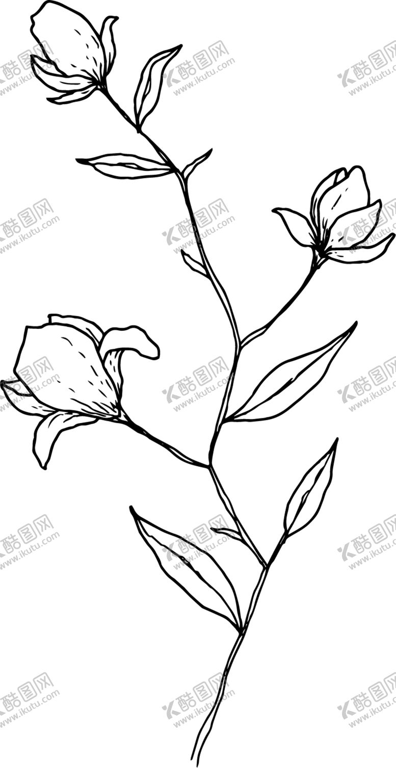 编号：16262909230753492306【酷图网】源文件下载-花苞线稿PNG图片