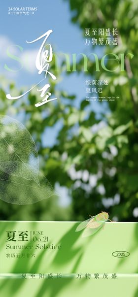夏至海报树叶阳光蝉太阳