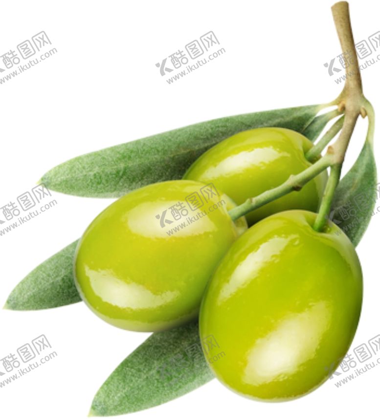 编号：72796805031405219712【酷图网】源文件下载-橄榄
