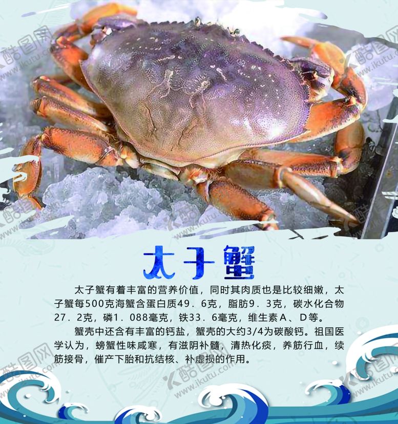 编号：31077606240406488596【酷图网】源文件下载-太子蟹