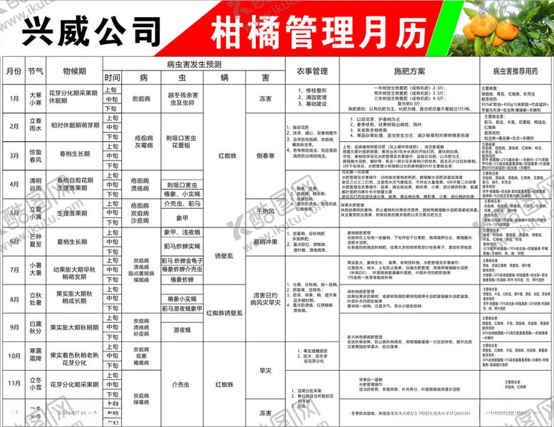 编号：92341109090537203011【酷图网】源文件下载-柑橘管理月历