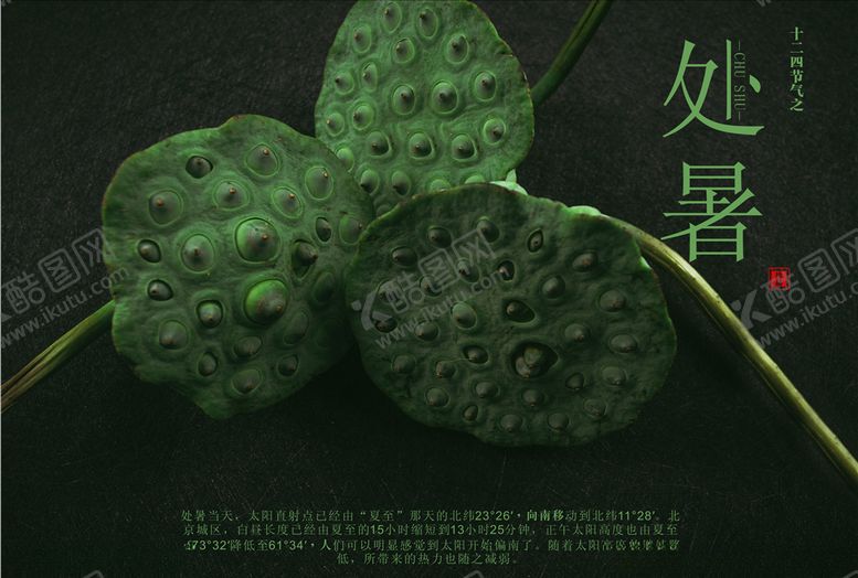 编号：84427705061734473311【酷图网】源文件下载-处暑莲蓬