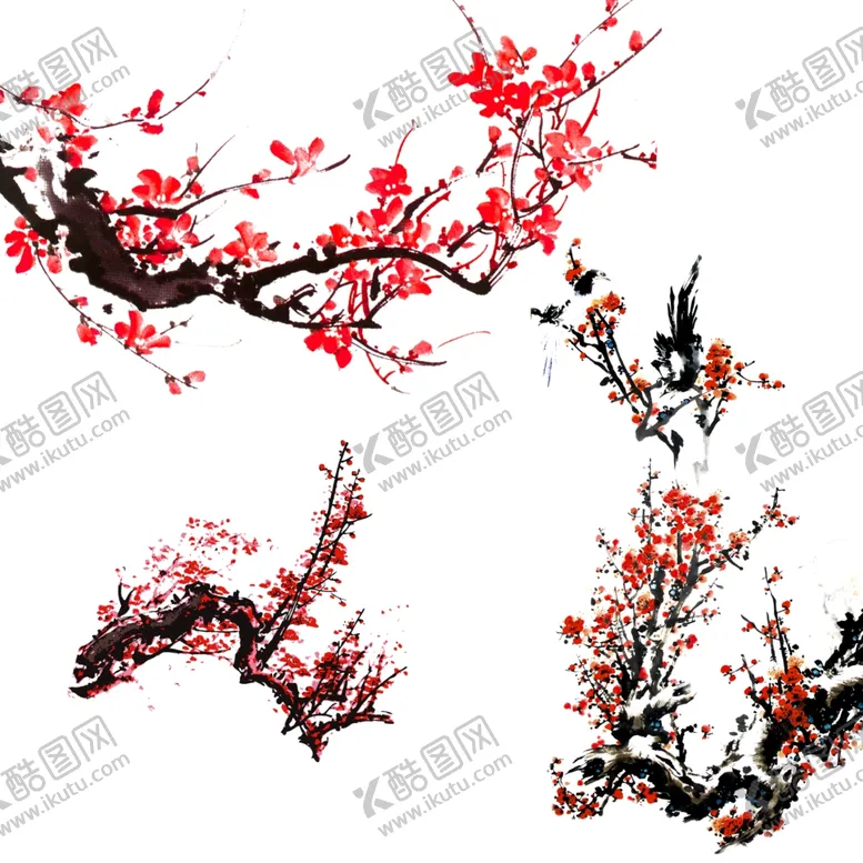 编号：25562701250411052850【酷图网】源文件下载-梅花