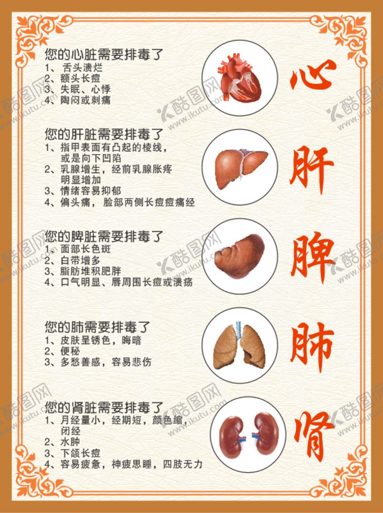 编号：05216809201402511906【酷图网】源文件下载-心肝脾肺肾