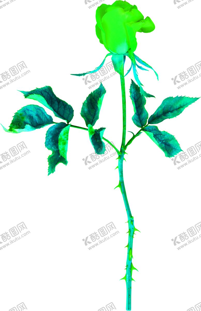 编号：55970806170103542005【酷图网】源文件下载-花素材