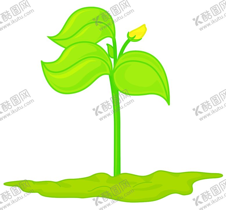 编号：67219007040736156481【酷图网】源文件下载-绿色植物