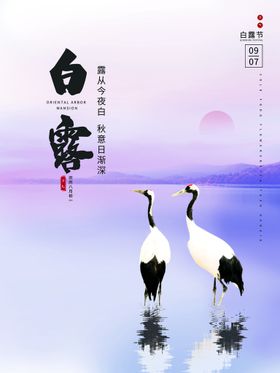 白露主题展架节气