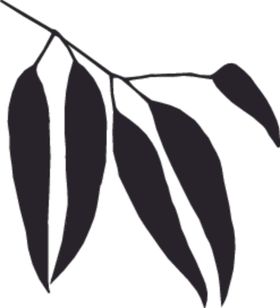 植物系列树叶