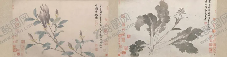 编号：79546209230322314036【酷图网】源文件下载-玉兰花 