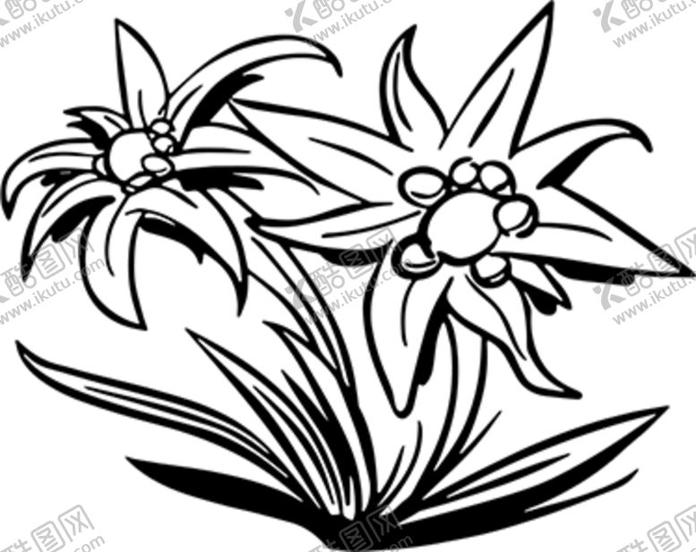 编号：81419107050624555756【酷图网】源文件下载-花瓣花朵粉色紫色桃花