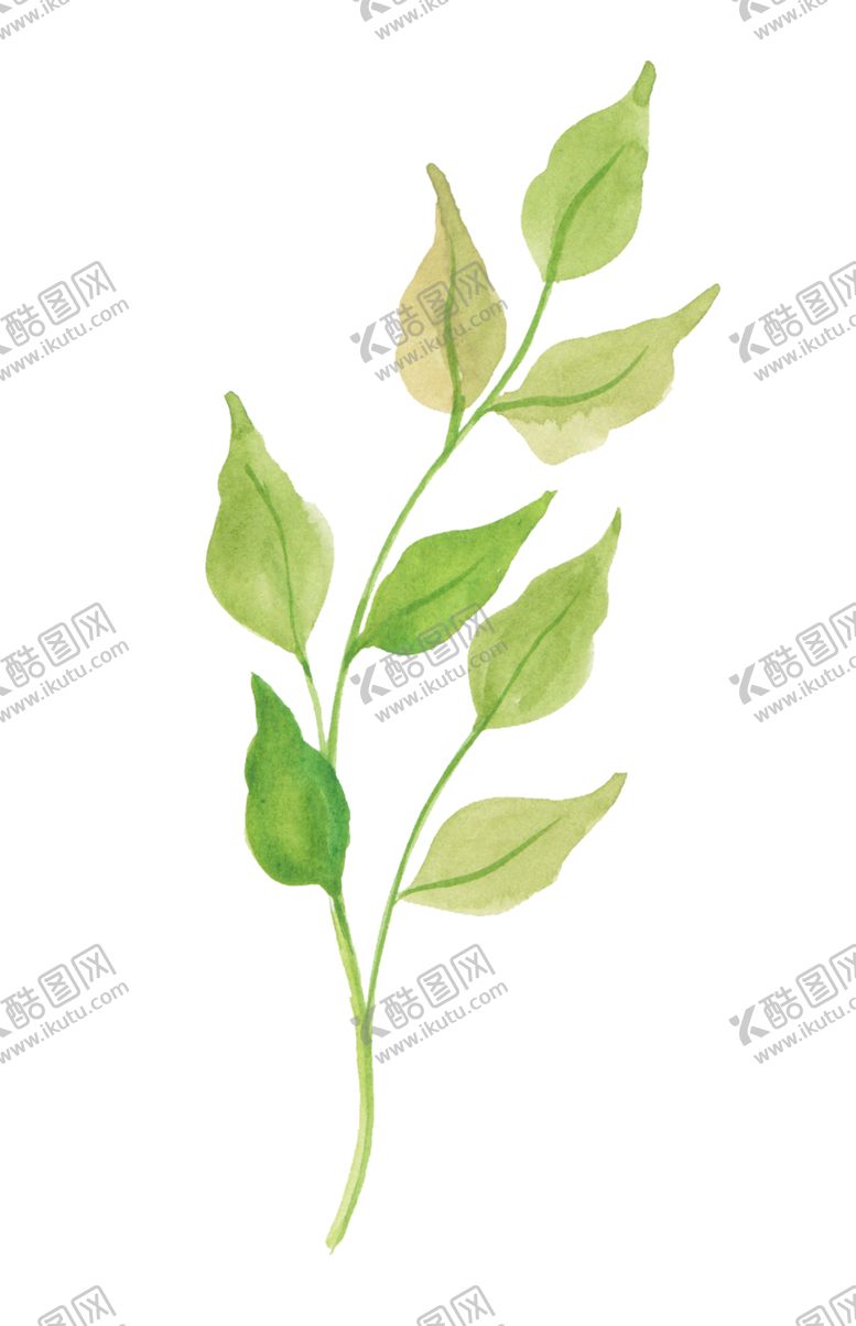 编号：89592009222027136287【酷图网】源文件下载-手绘花朵