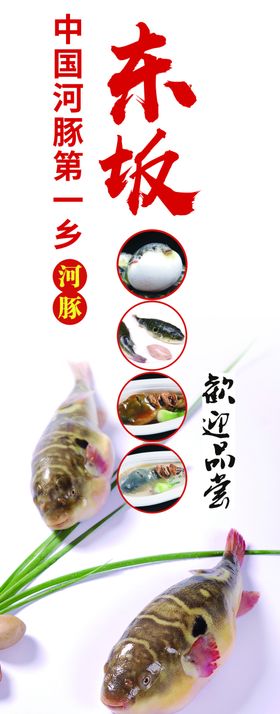 河豚