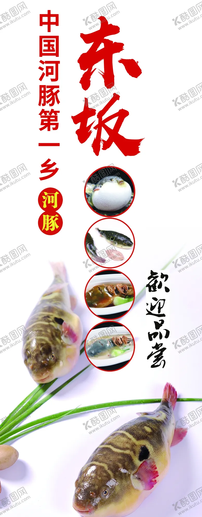 编号：71894505080550006819【酷图网】源文件下载-河豚