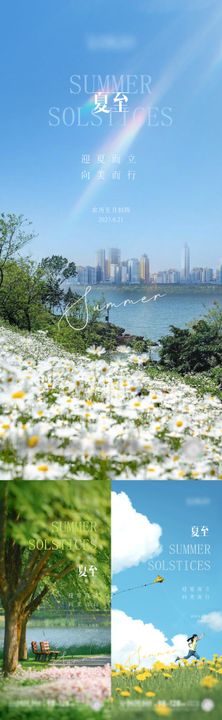 夏至节气稿