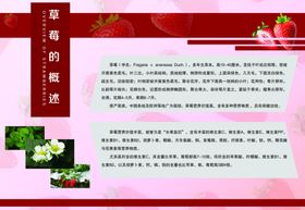 草莓的概述简介