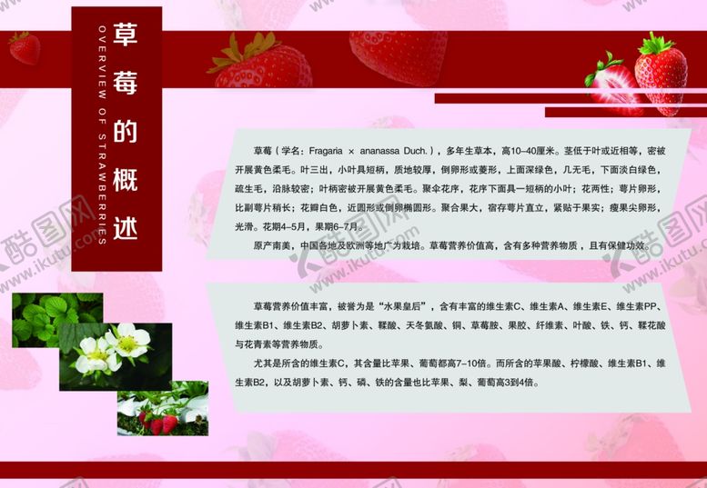 编号：57254810221226096132【酷图网】源文件下载-草莓的概述简介