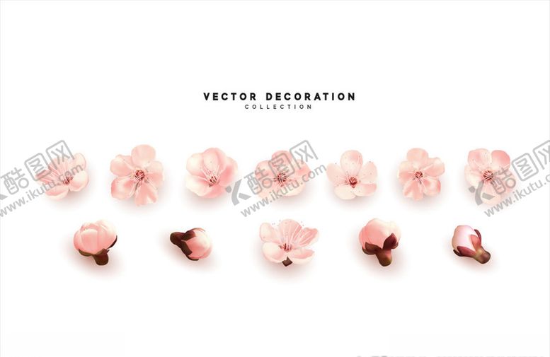 编号：25019409242201038381【酷图网】源文件下载-花卉