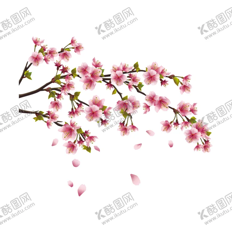 编号：60884106290640487590【酷图网】源文件下载-桃花
