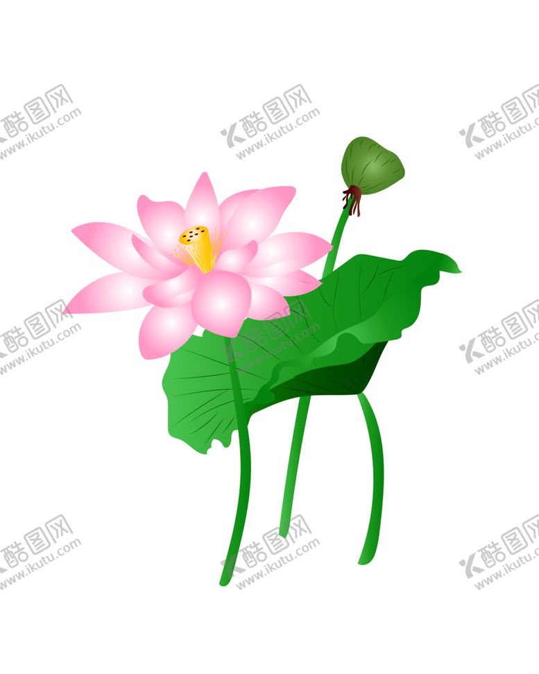 编号：53861804301623253248【酷图网】源文件下载-荷花元素