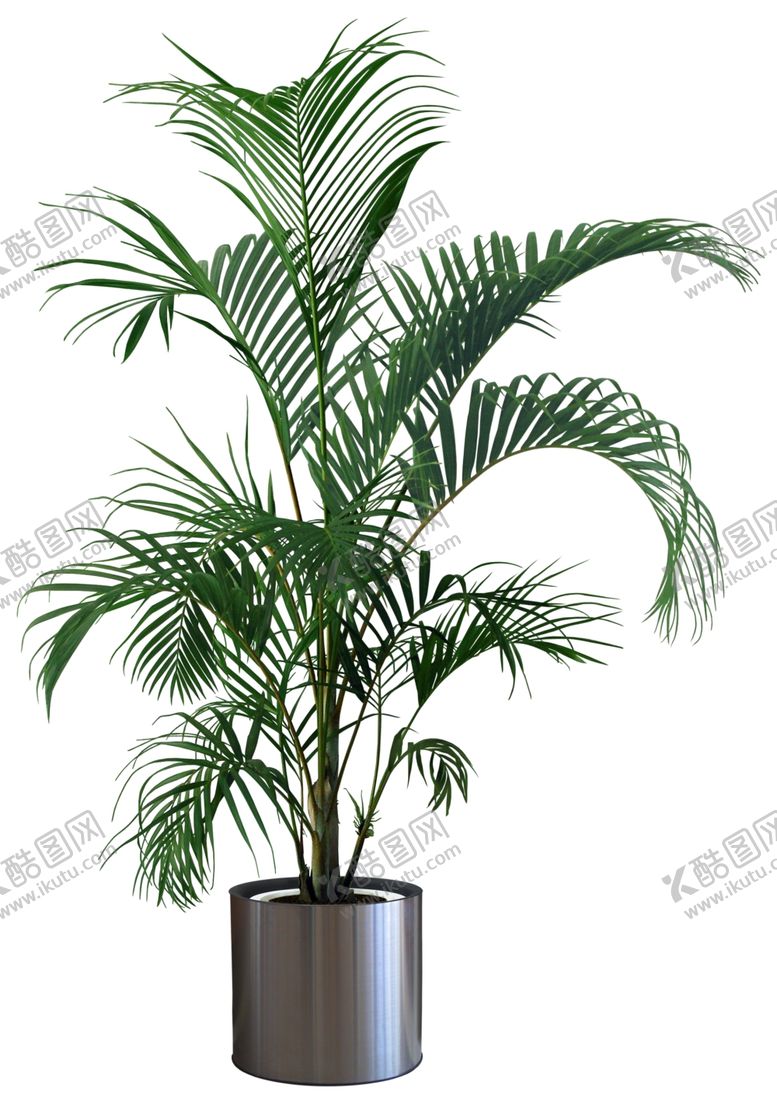 编号：94441210081835465556【酷图网】源文件下载-园林植物