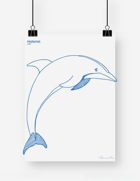海豚