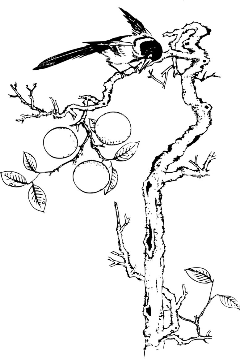 编号：23058610040515480521【酷图网】源文件下载-花鸟