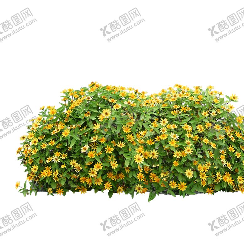 编号：73432610311918481949【酷图网】源文件下载-绿色装饰