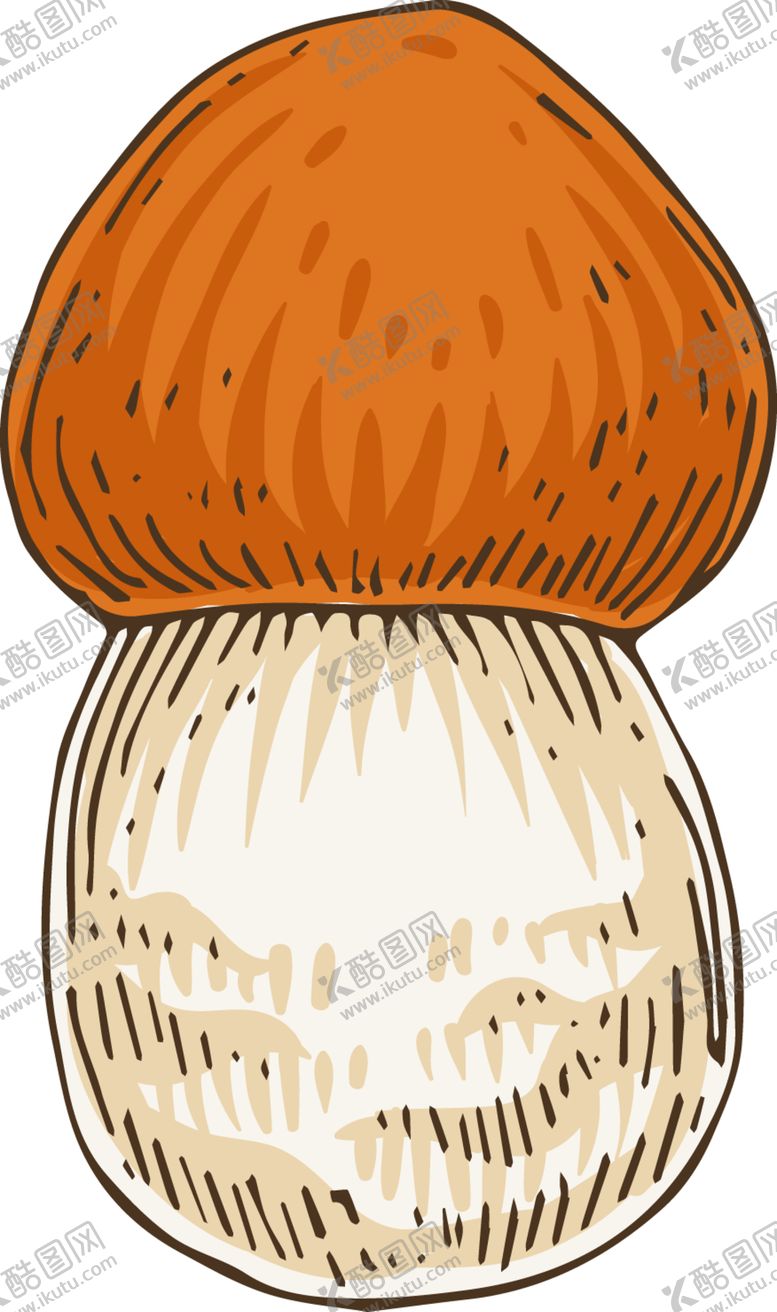 编号：54381612300258013454【酷图网】源文件下载-菌类插画图片 
