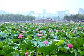 京杭大运河西湖美景psd源文件