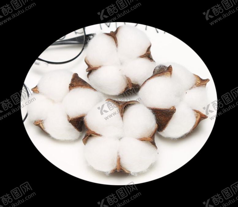 编号：57318909242314559057【酷图网】源文件下载-棉花