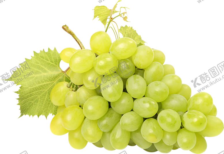 编号：15413410020139455045【酷图网】源文件下载-水果