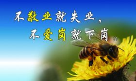 企业文化展板