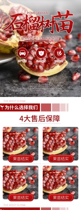 石榴