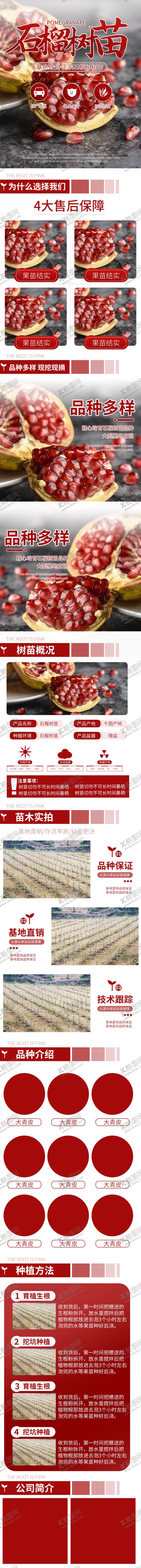 编号：10528509212111425455【酷图网】源文件下载-石榴