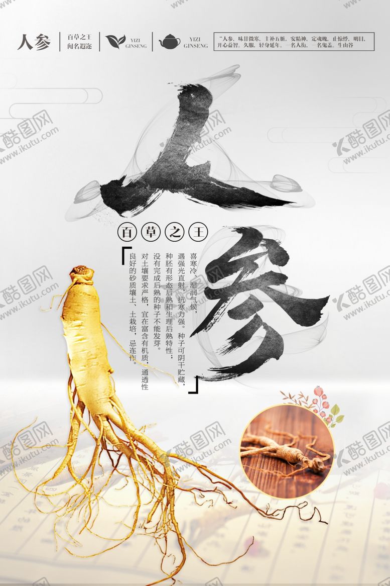 编号：51631001182139435851【酷图网】源文件下载-人参海报