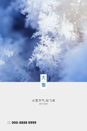 大雪单图海报