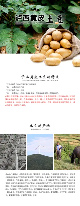 洋芋详情页