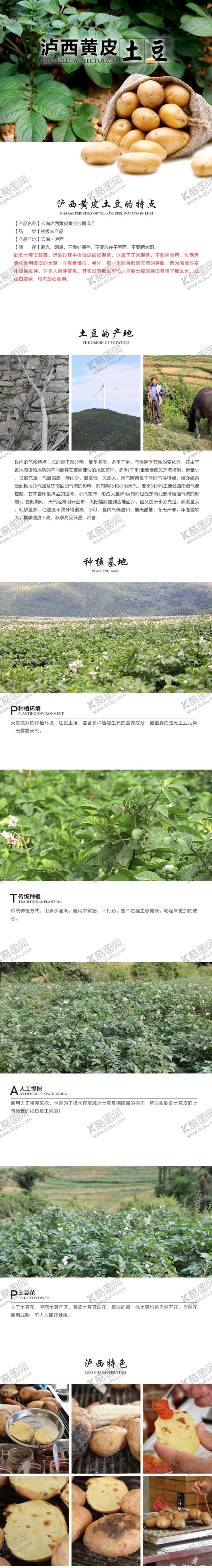 编号：27075305190517498360【酷图网】源文件下载-洋芋详情页