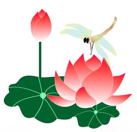 美丽的蜻蜓插画